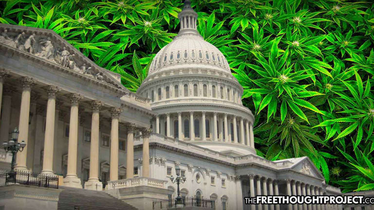 THIS WEEK—Congress to Vote on Legalizing Cannabis Nationwide, Expunge Arrests