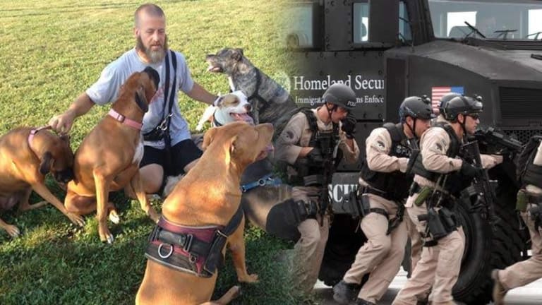 Dog Rescuer Visited By Homeland Security for Making Facebook Posts About Cops Shooting Dogs