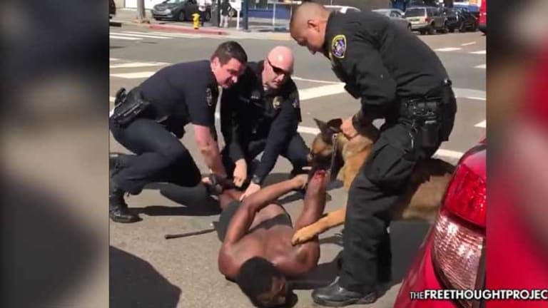 Disturbing Video Shows Cops Hold Handcuffed Man Down as K9 Tears Into Him
