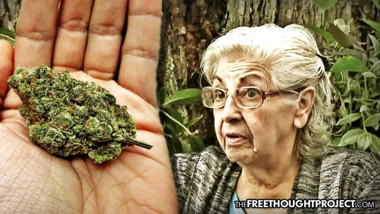80-Year-Old Grandma Thrown in Jail For Smoking Pot In Her Own Home to Treat Her Arthritis