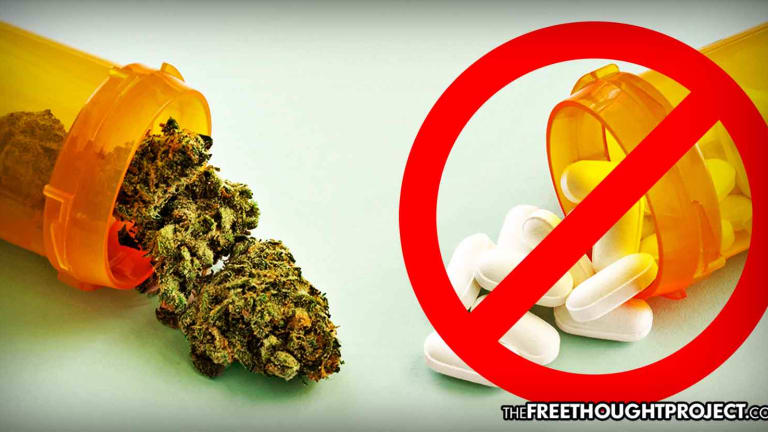 Big Pharma's Worst Nightmare, Survey Finds Most Medical Pot Users Quitting Prescription Drug Use