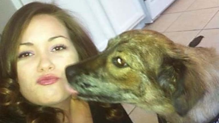 Nevada Seeks Legislation to Reduce Dog Deaths Caused by Police