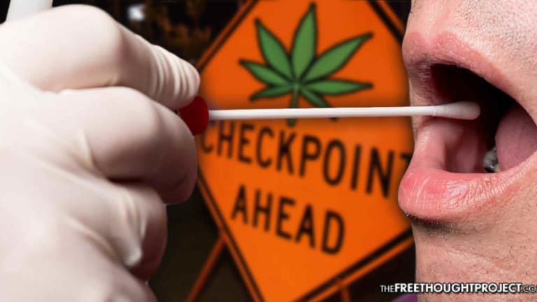 Police Now Conducting Mouth Swab Checkpoints to Test Drivers for Marijuana