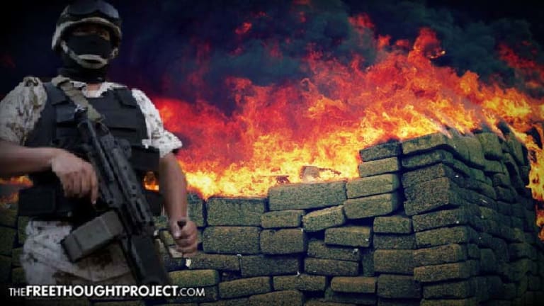 Legal Weed is Doing What Trump's Wall and a Trillion Dollar Drug War NEVER Will