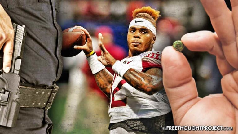 Police Go Undercover for Months, Spend Thousands to Bust FSU Quarterback with Tiny Bit of Weed