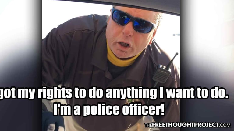 "I Can do Anything I Wanna do, I'm a Cop": Tyrant Cop Fired After Insane Power Trip
