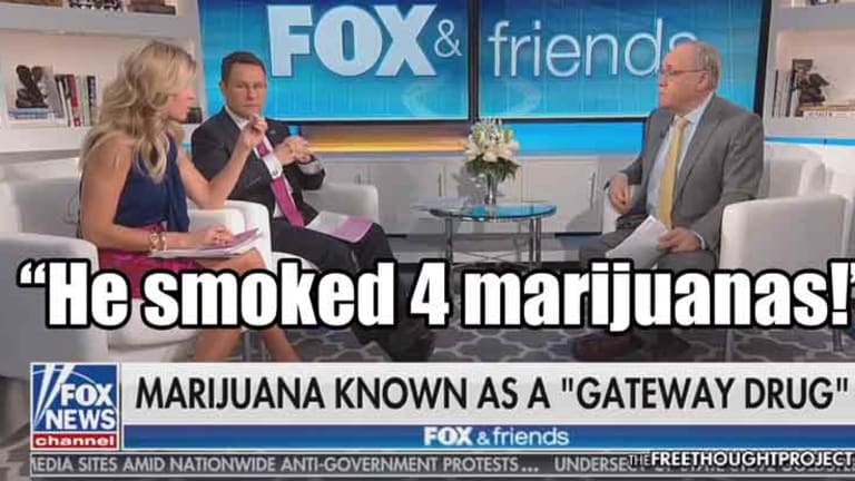 WATCH: FOX News Anti-Marijuana Propaganda Exposed on Live TV by Their Own 'Expert'
