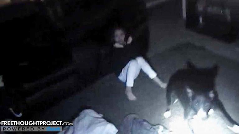 Shocking Video Shows Cop Try to Kill a Dog, Shoot 9yo Girl in the Face Instead