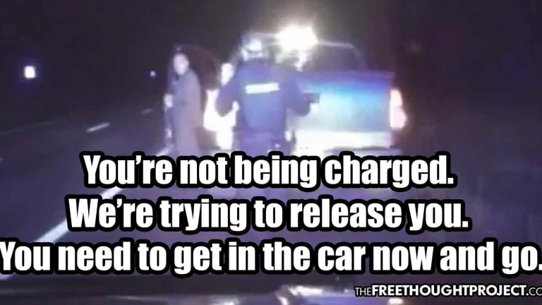 'You're Not Being Charged': Cops Let Wasted Drunk Driving Police Captain Go