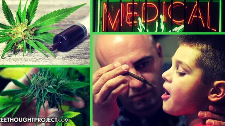 Jaw Dropping Study Shows Cannabis Helps a Whopping 90% of Epileptics Who Try It