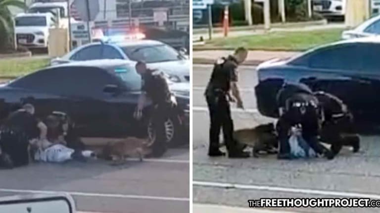 WATCH: 2 Cops Hold Down Subdued Man As Another Cop Forces Dog to Maul Him