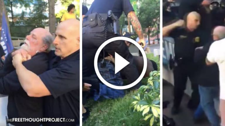 Watch: Police Clash With Anti-War Protesters, Viciously Assault Peaceful Vet