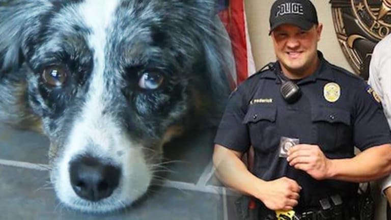 Instead of Shooting a Dog that Just Bit Him, This Cop Soothed It and Set the Bar for Cops Nationwide