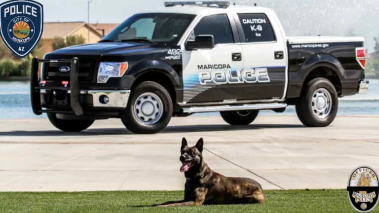 Cop Gets Just 2 Days Suspension for Killing His K-9 Partner by Leaving It in Hot Car