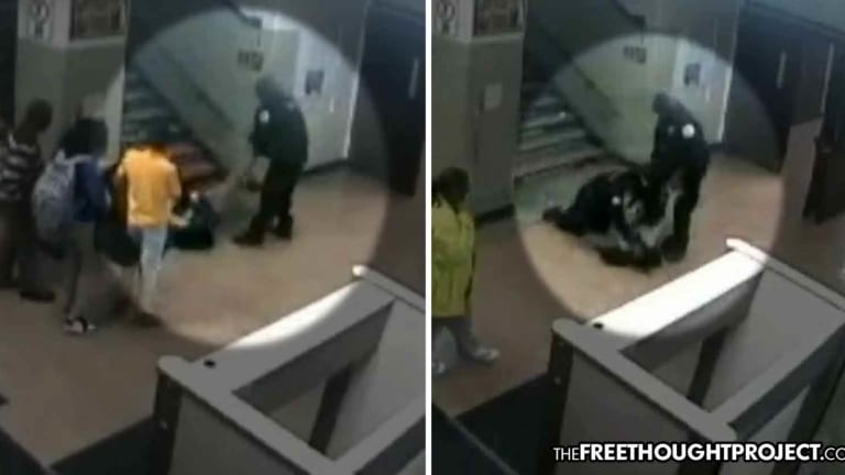WATCH: Cops Throw Innocent 16yo Girl Down Stairs, Punch, Taser, Stomp on Her—Then Lie About It