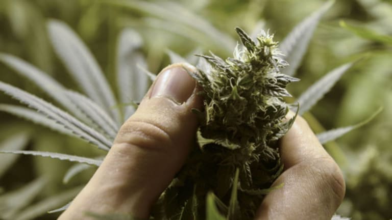 Minnesota legalizes medical marijuana, but no smoking allowed