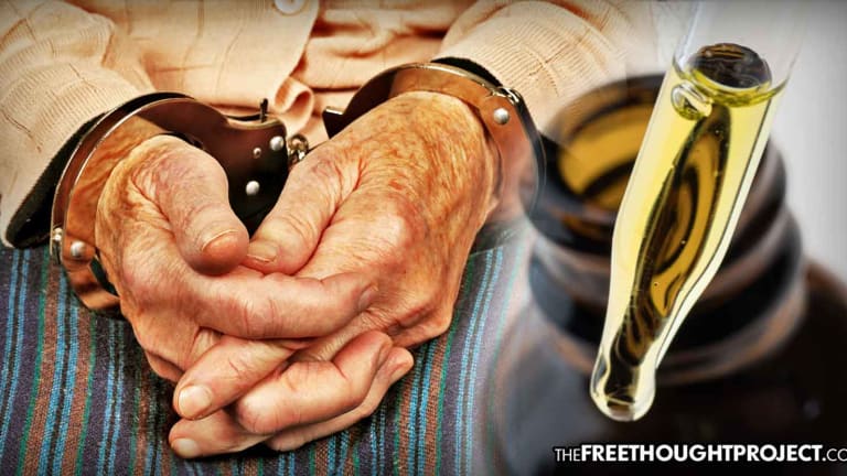 Cops Arrest Great-Grandma at Disney World for Having CBD to Treat Her Arthritis