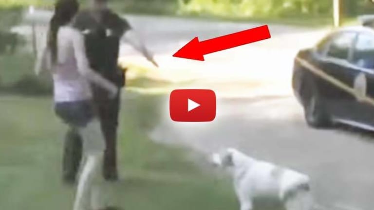 Exclusive: Mom Arrested for Saving Her Dog From Being Murdered by a Cop Found NOT GUILTY