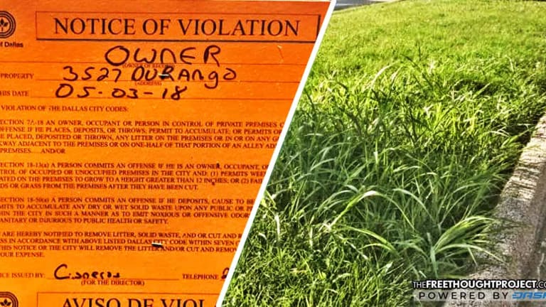 City Slaps Burn Victim with Violation for Not Mowing Lawn While He Was in the Hospital