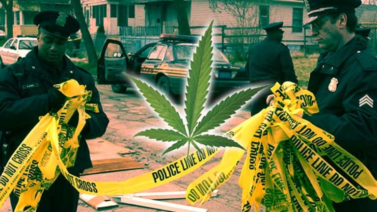 Imagine That! Police Solve Far More Murders After they Stop Arresting Cannabis Users