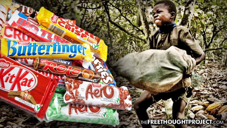 Nestle Says Requirement to Report Use of Slave Labor Would Cost Consumers More Money