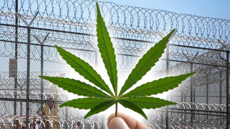 Prison Town Selling Its Jails to Grow Cannabis to Save their Economy -- And It's Working