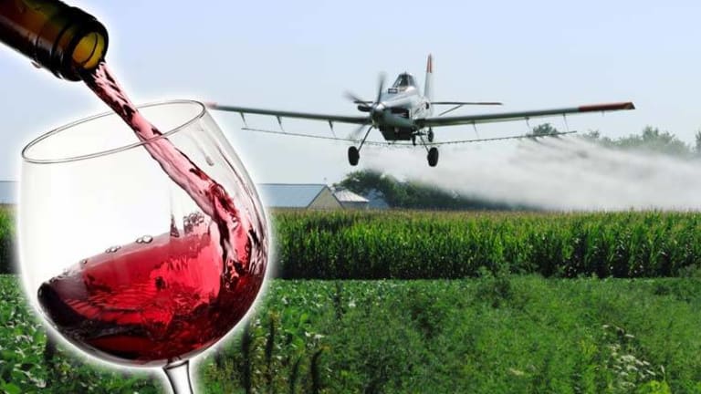 Study Finds Monsanto's Glyphosate in 100% of California Wines Tested -- Even the Organic Ones