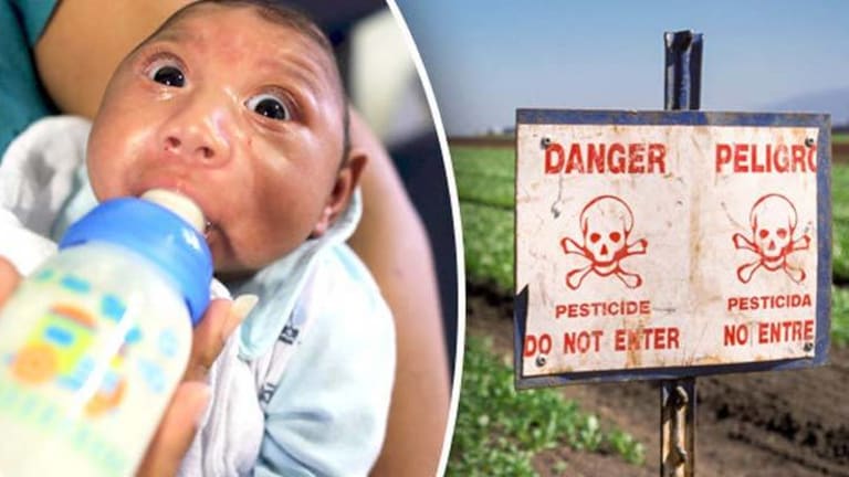 "It's Not the Zika Virus" -- Doctors Expose Monsanto Linked Pesticide as Cause of Birth Defects