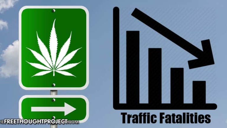 Large-Scale Study Shows Traffic Fatalities Significantly Lower in States with Legal Weed