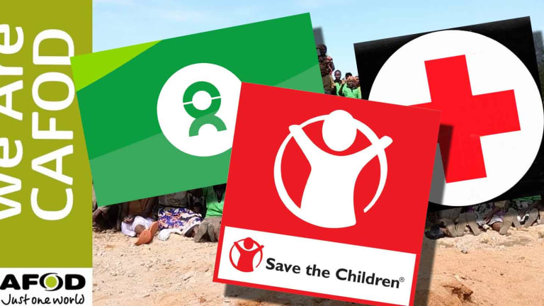 Four Major Charities Rocked by Epidemic of Sex Abuse, Including Crimes Against Children