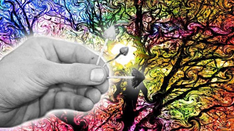Researchers Treating Addiction, ADHD, and PTSD with Magic Mushrooms, and It's Working