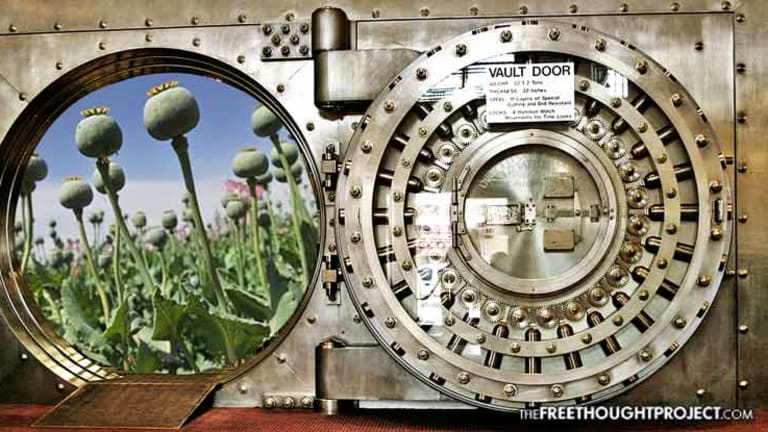 One of the Largest Banks in the World Just Accused of Laundering Millions for Drug Cartels