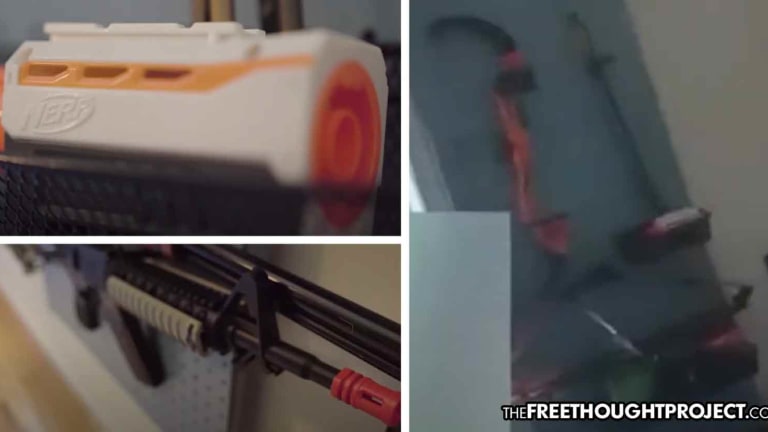 WATCH: Family's Home Raided After Nerf Guns Seen in Child's Room During Virtual Learning
