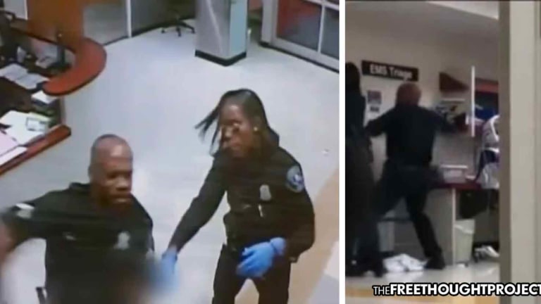 WATCH: 'I Punched Her 8 or 9 Times': Cop Beats Naked Mentally Ill Woman in a Hospital
