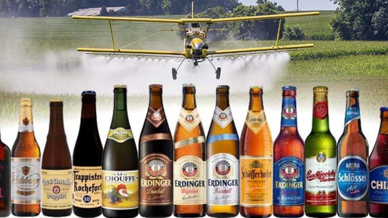 100 Percent of Beer Tested Had At Least 5 Times the Amount Glyphosate Allowed by Law