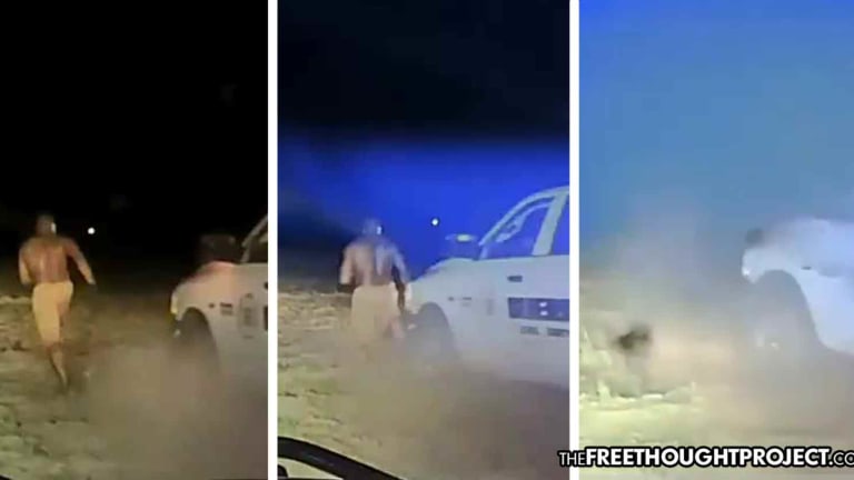 WATCH: 'I Ran for My Life' — Cops Intentionally Run Over 'Fellow Officer' For Running in a Field