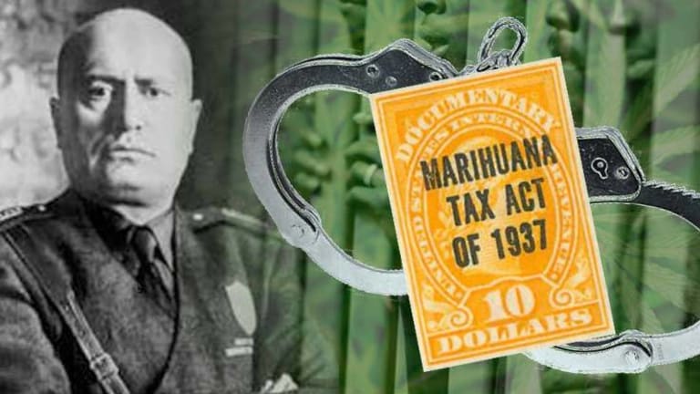 The War on Weed: A Brief History of America's Racist Cannabis Laws