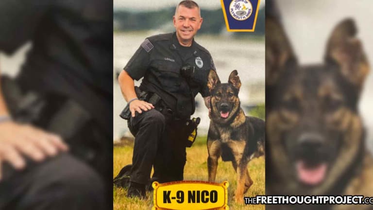 Cop on Leave After Deliberately Shooting His Own K-9 Partner 3 Times, Killing Him