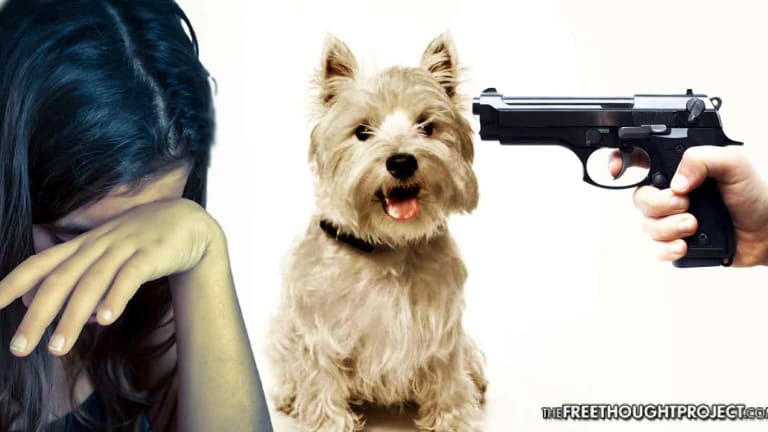 Frightened Cop Tries to Kill Dog, Misses, Shoots Little Girl in the Head Instead