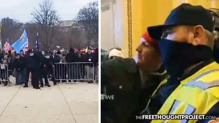 WATCH: Capitol Police Open Gates Deliberately Let MAGA Protesters In, Then Pose for Selfies