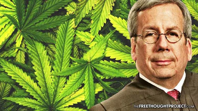 State Supreme Court Justice Just Called for the Release of All Those in Prison for Cannabis