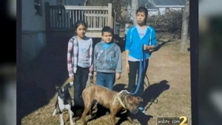 Cops Mistake Family for Burglars, Break Into their Home, Shoot and Kill their Dog