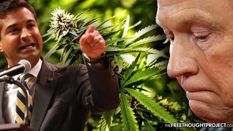 WATCH: Republican Congressman Admits Drug War HELPS Cartels, Slams Weed 'Witch Hunt'