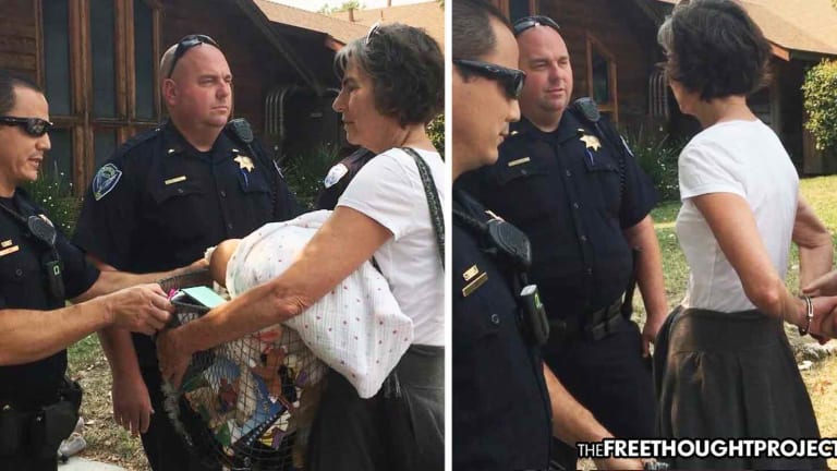 WATCH: Grandmother Arrested While Trying to Deliver Toys to Children