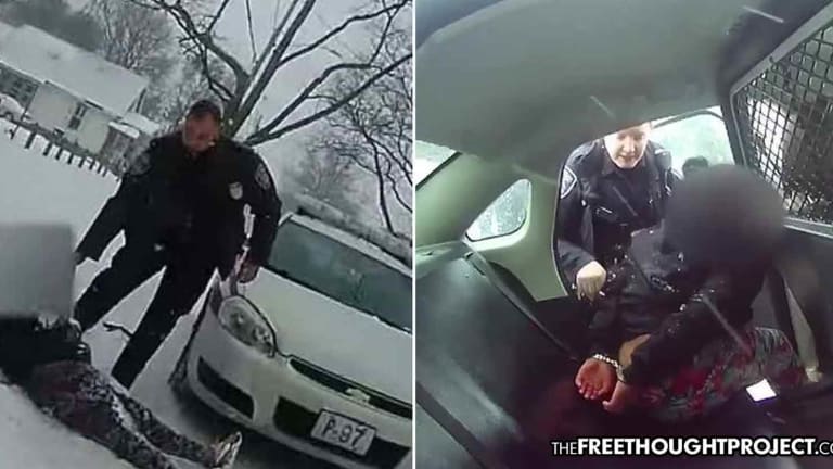 WATCH: Cops Threaten Witnesses as They Attack, Handcuff, Mace 9yo Girl