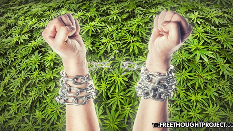 State Senate Passes Landmark Bill to Erase Criminal Records of People Arrested for Cannabis