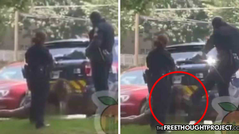 Family Watches in "Horror" as Massive Cop Kicks Handcuffed Woman in Her Face