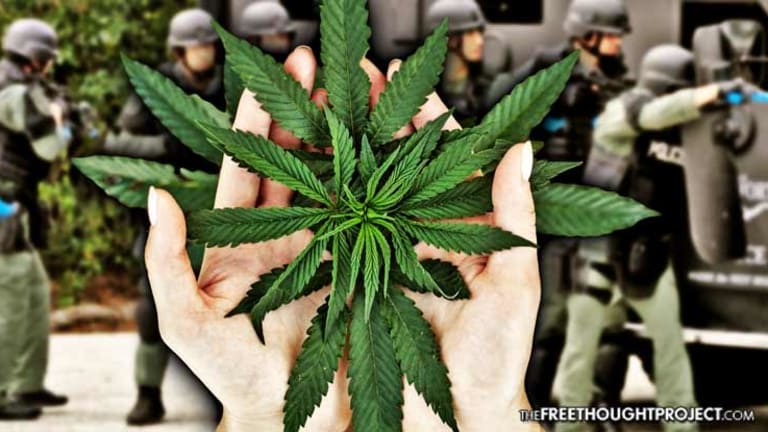Wisconsin Moves to Be First State Ever to Nullify Federal Cannabis Prohibition Through Legislation