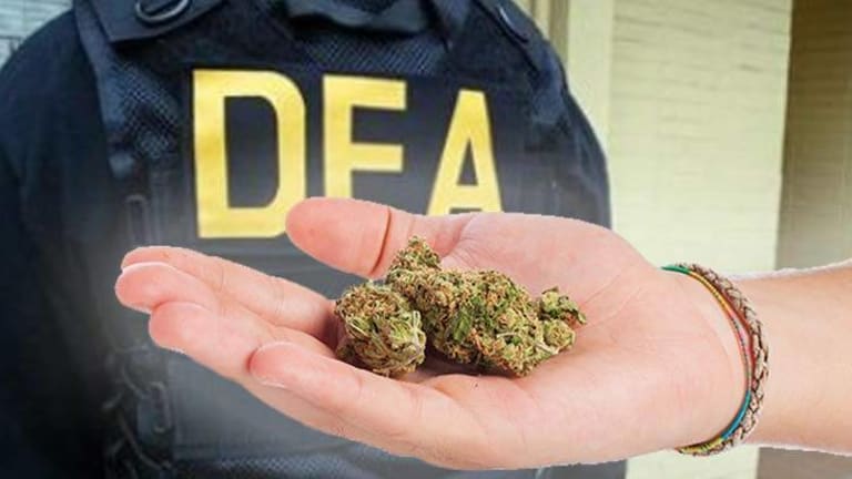 New DEA Chief Retreats On War Against Weed, Says DEA Will No Longer Focus On Marijuana