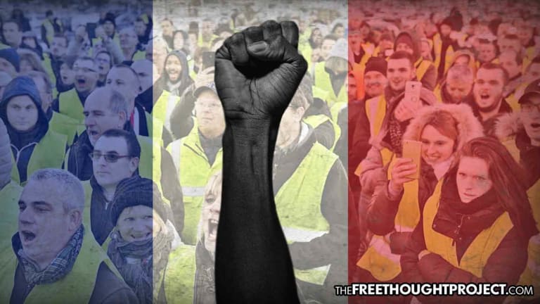 Power of the People: Gov't Suspends Fuel Tax After French Citizens Took to the Streets and Refused to Pay It